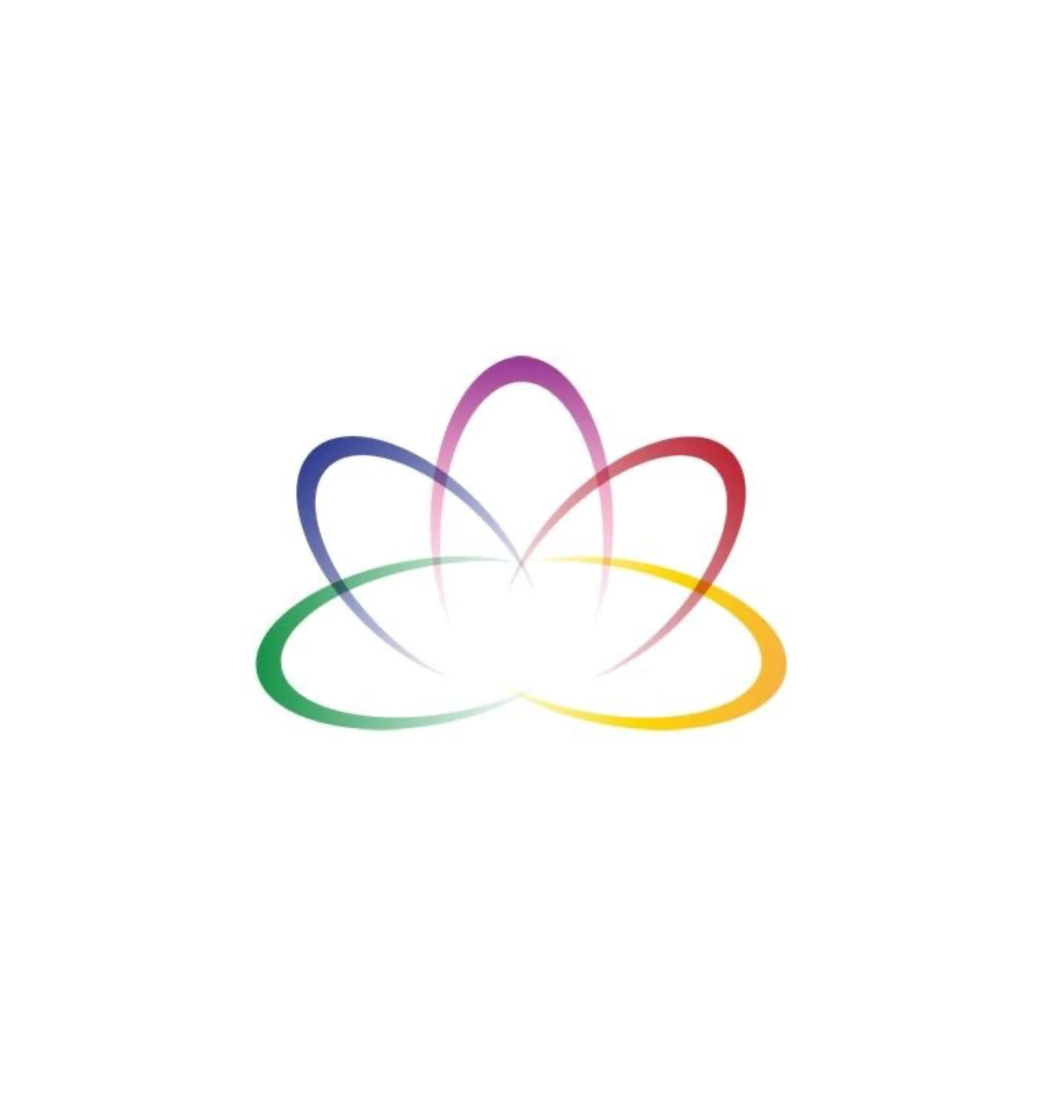 Startups Management